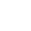 Risk Mitigation & Value Creation