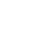 Government icon