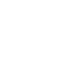 Insurance icon