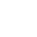 Information Security icon